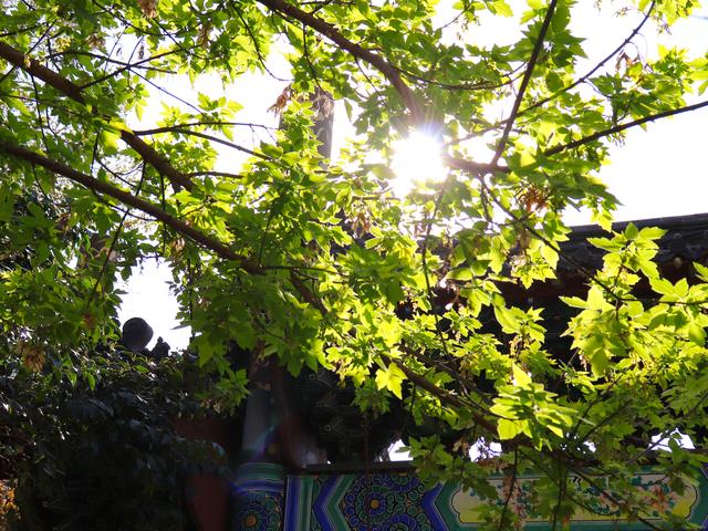 比尔盖茨传记读后感（比尔盖茨传记读后感100字）