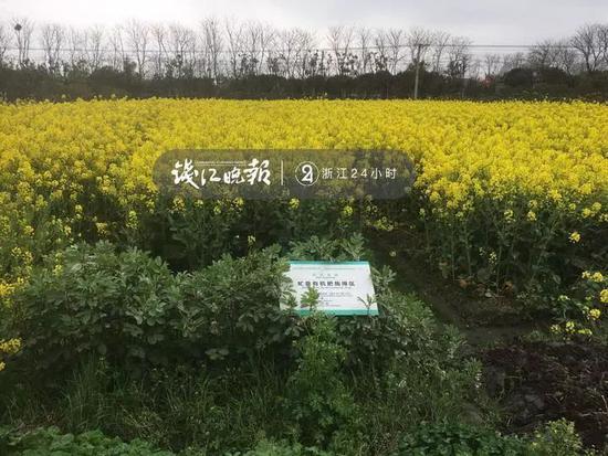久厌!微信回收秒结
