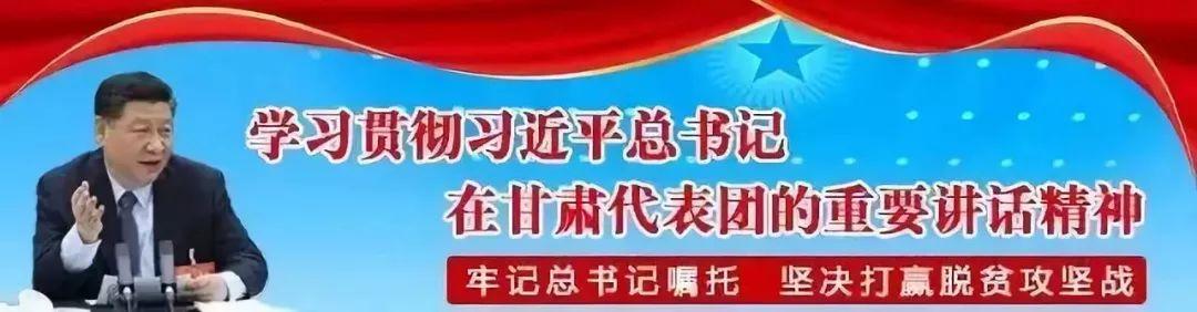 唐山龙瑞生铁破碎机的简单介绍
