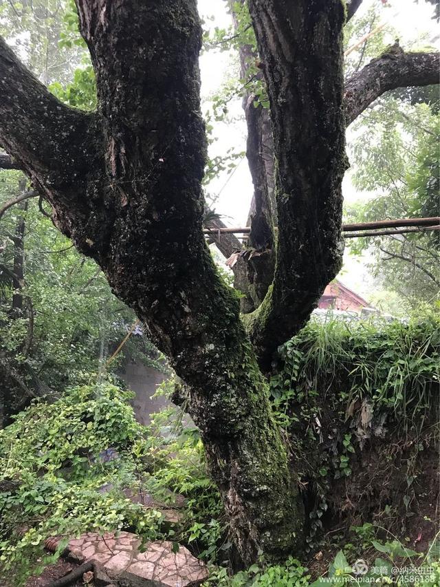 娄底玄武岩圆锥破碎机