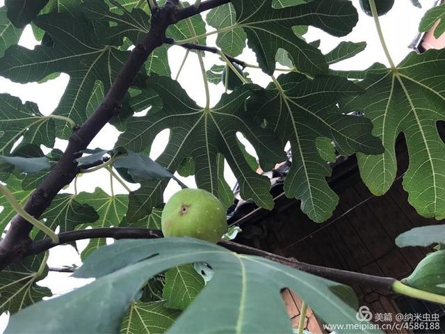 娄底玄武岩圆锥破碎机