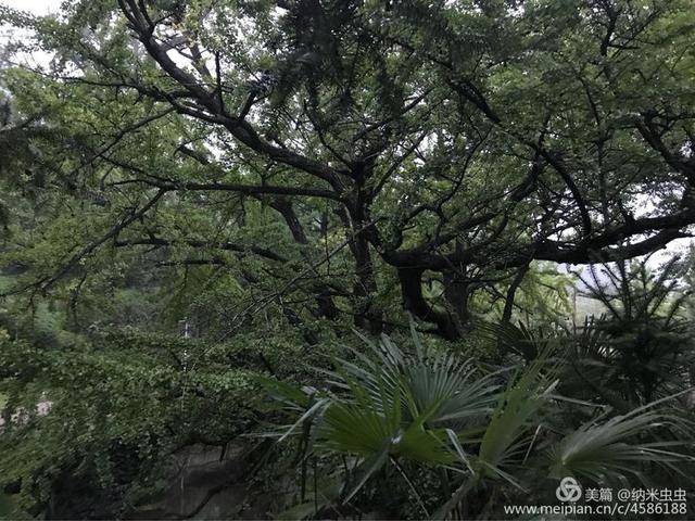 娄底玄武岩圆锥破碎机