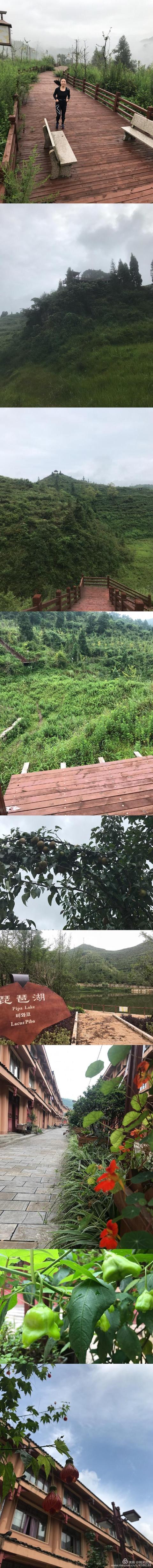 娄底玄武岩圆锥破碎机