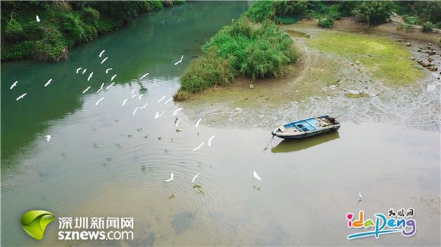 引起极度舒适！是时候曝光大鹏新区这些“网红绿道”了