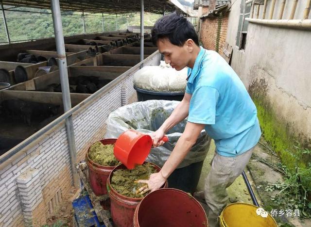 包含玉林破碎机价格的词条