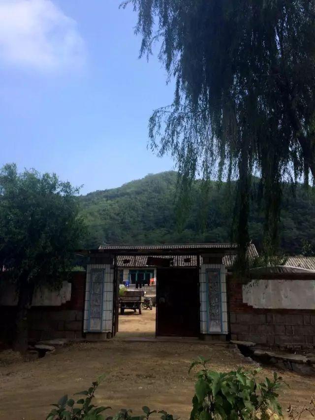 营口立轴式制砂机