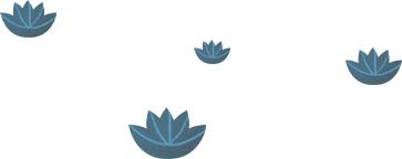 夏天必读的10首最美荷花诗词,哪首才是你心中的第一?