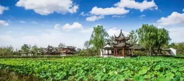 保山干式洗砂机哪里有卖