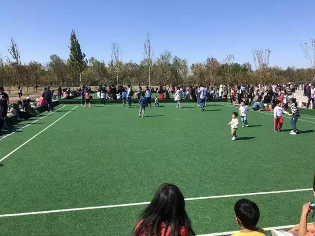 保山干式洗砂机哪里有卖