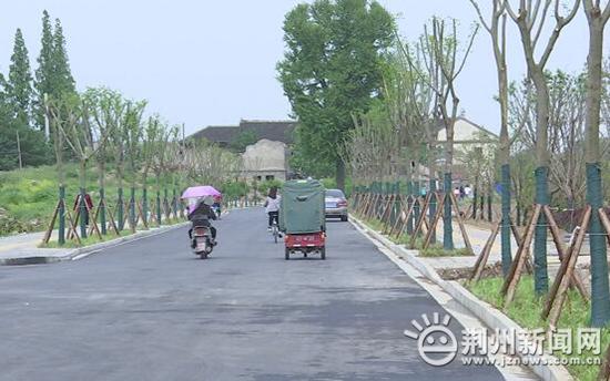 荆州立式压滤机厂