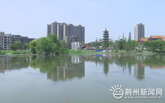 荆州立式压滤机厂