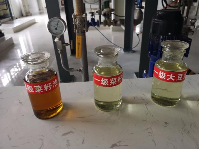 食用油过滤机厂家