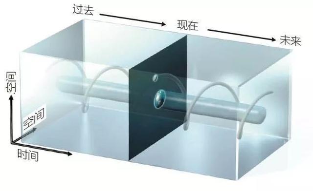 四维检查单的先露未定什么意思