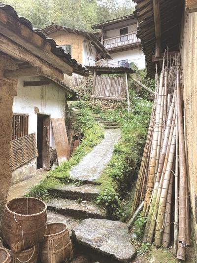 宁化印刷包装机械展举办费用