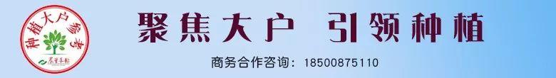 警！这些地区二代粘虫暴发，怎么防治？