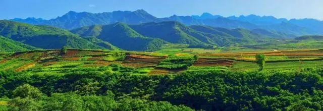 一张图看懂尾矿库