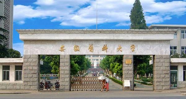 滁州学院是几本安徽省二本大学有哪些2018最安徽二本大学高校排名