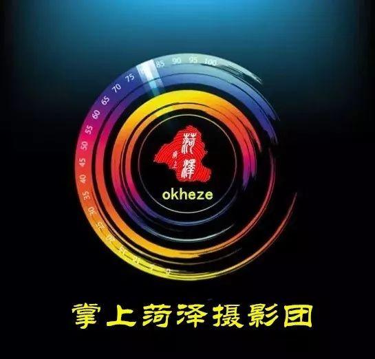 菏泽破碎机哪里有