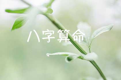 免费精准八字算命