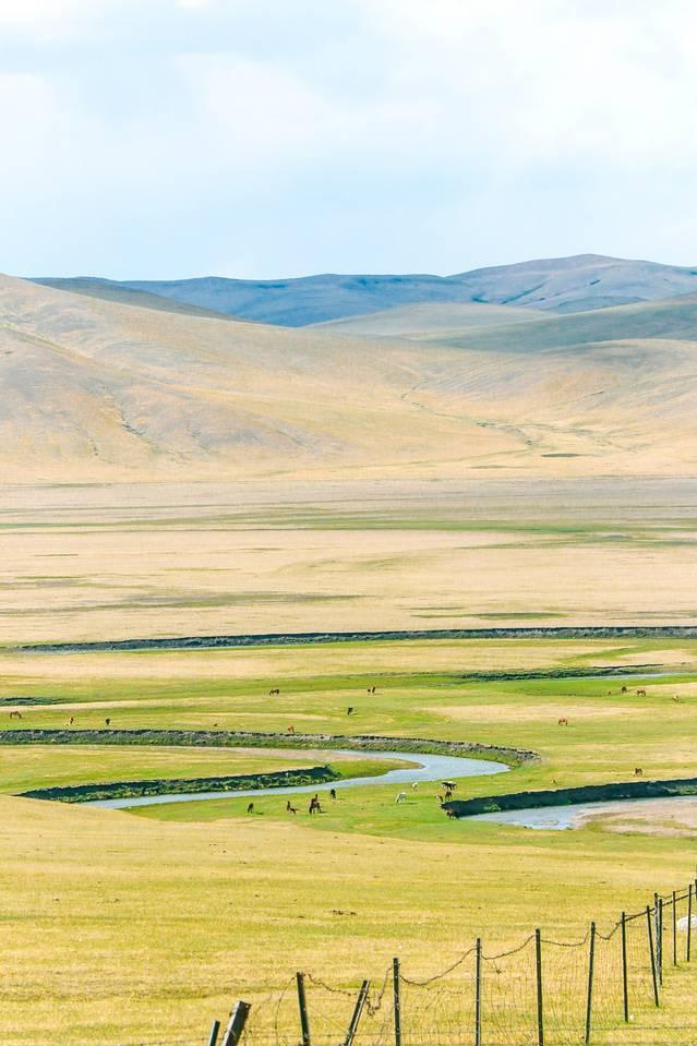 广式老吴奶香身体乳推荐