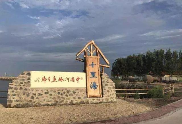 安顺四排轮式洗砂机报价