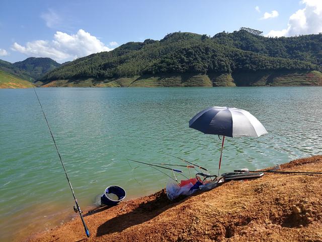 万峰湖手竿钓鱼的经验插图11