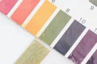 透真身体乳套装测评