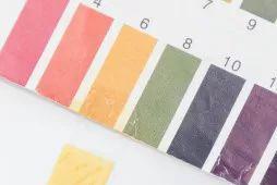 透真身体乳套装测评