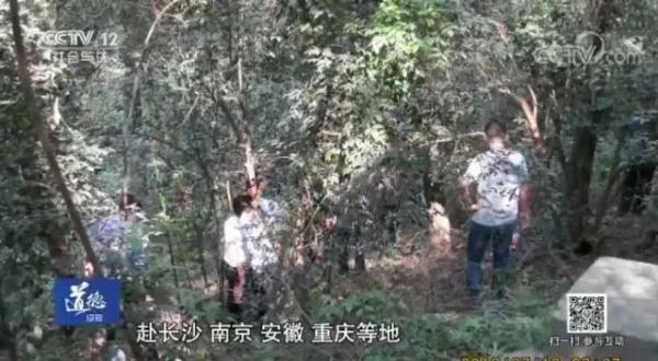 周克华案件