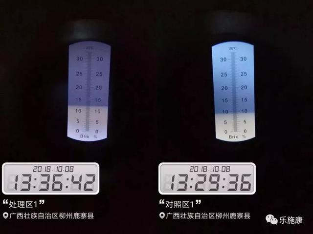 柑橘着色增甜不再难，纯营养着色剂来袭6