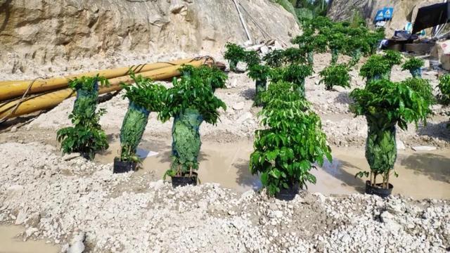 漳州螺旋洗砂机生产销售