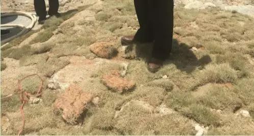 福建矿山全自动洗砂机售价
