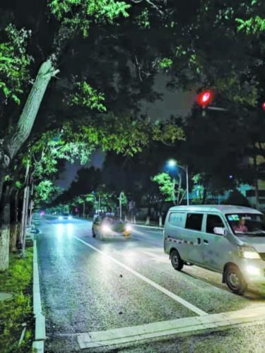 国展大道路灯工程