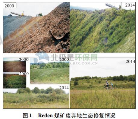 尾矿地是什么意思