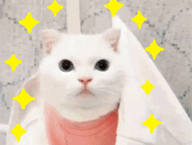 果酸身体乳能带上高铁吗