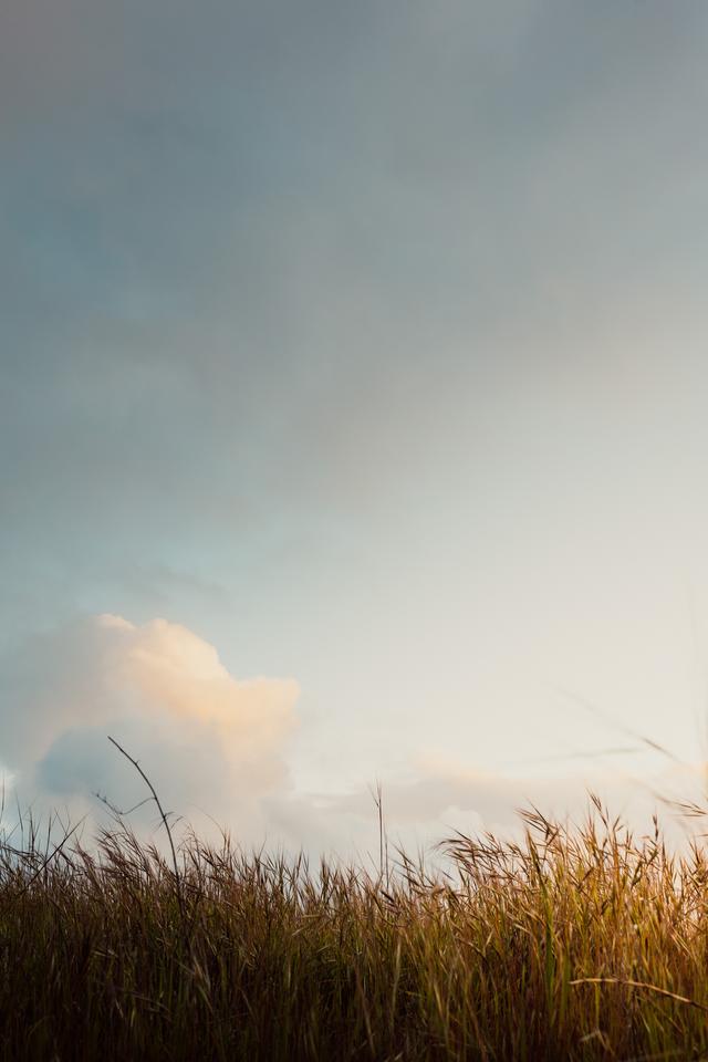 6205345905_d59a564256-160x160