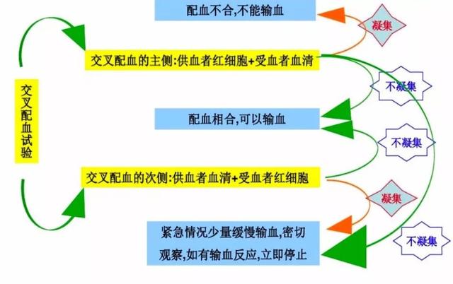 血型检查arhd阳性什么意思