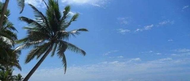 关于广西鲁钢破碎机的信息