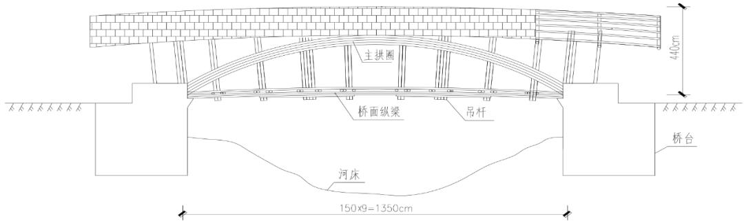 竹子的资料