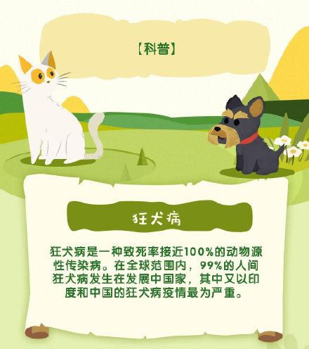 被猫抓伤怎么办