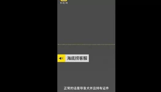 导盲犬进海底涝