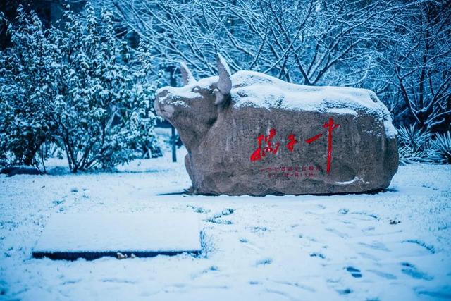 小年是什么意思是什么生肖