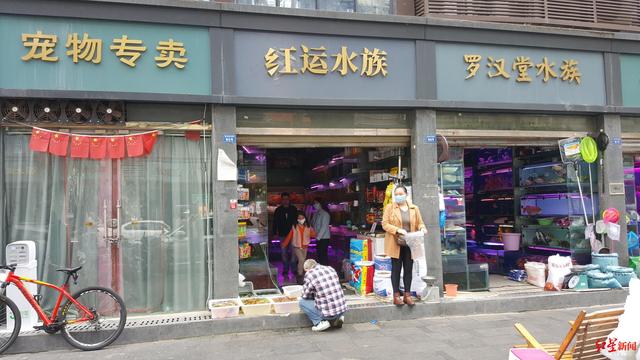 成都宠物用品批发市场