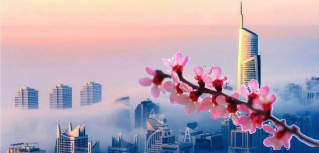 沃尔顿集团(沃尔顿集团家族)