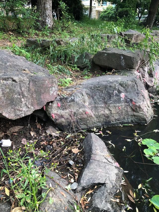 小孩鸡皮疙瘩白皮