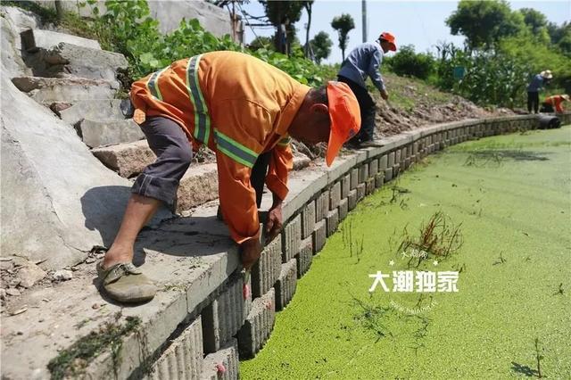 小孩鸡皮疙瘩白皮