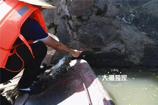 小孩鸡皮疙瘩白皮