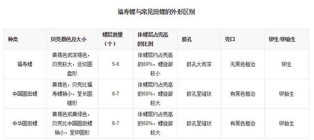 小孩鸡皮疙瘩白皮