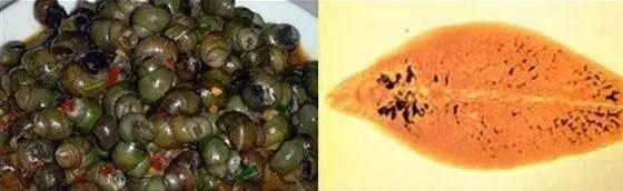 小孩鸡皮疙瘩白皮