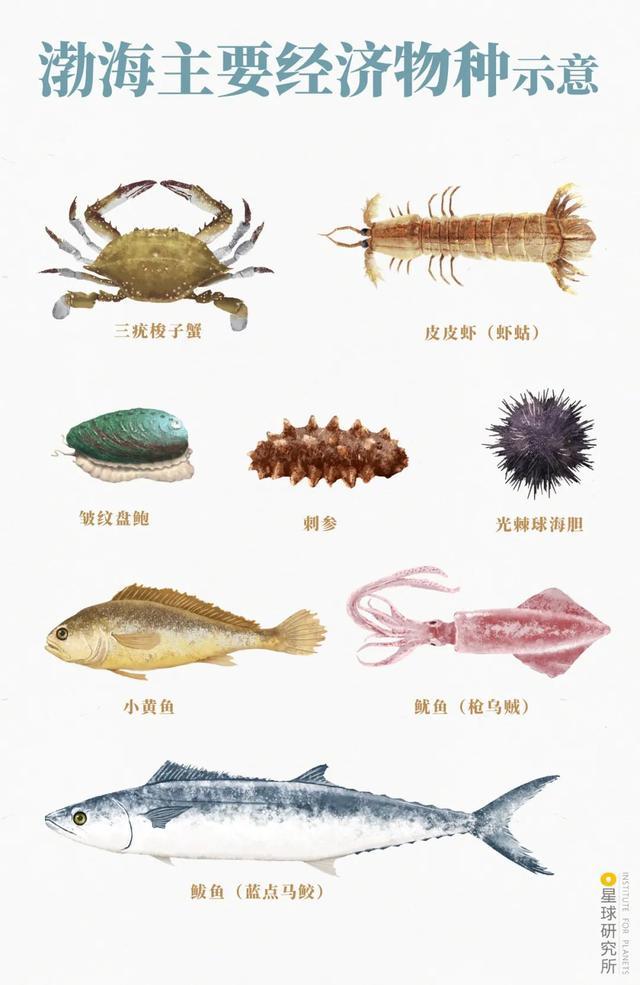 双台洗砂机加水